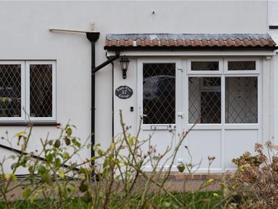 Picture 25